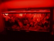 Terrarium - Oświetlenie LED red
